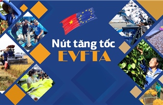 Nút tăng tốc EVFTA