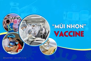 ‘Mũi nhọn’ vaccine
