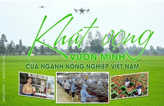Khát vọng vươn mình của ngành nông nghiệp Việt Nam