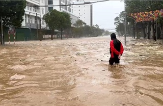Mưa lớn kết hợp triều cường khiến nhiều địa phương ở Nghệ An ngập nặng