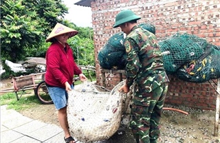 Lực lượng vũ trang Quảng Trị hỗ trợ nhân dân ứng phó mưa, bão số 10