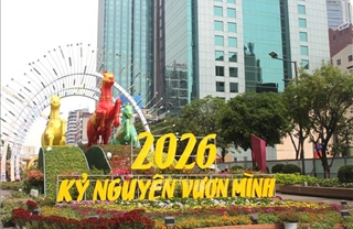 Lộ diện những tiểu cảnh đầu tiên của Đường hoa Nguyễn Huệ xuân Bính Ngọ