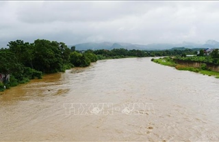 Nước sông Cầu qua Thái Nguyên lên nhanh do mưa lớn