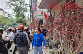 Chợ hoa Tết Tây Hồ treo biển đồng giá, xả hảng sớm