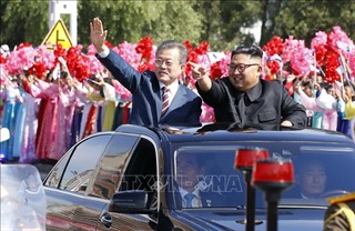Video hàng nghìn người hô vang &#39;Thống nhất&#39; khi xe chở ông Kim Jong-un, Moon Jae-in đi qua