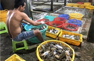 Ngày Xuân đi chợ hải sản Hàm Ninh 