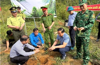 Bộ đội Biên phòng phát động chương trình trồng cây ‘Vành đai biên giới xanh’