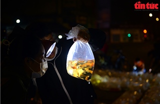 Chợ &#39;có một không hai&#39; ở TP Hồ Chí Minh: Khách soi đèn mua cá lúc 4 giờ sáng