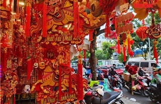 TP Hồ Chí Minh: Sắc xuân rực rỡ trên đường Hải Thượng Lãn Ông