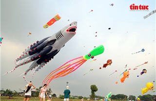 TP Hồ Chí Minh: Cánh đồng diều 'hút' người xem mỗi buổi chiều