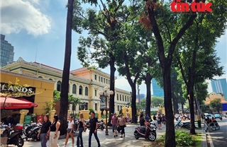 TP Hồ Chí Minh: Nắng gắt bao trùm, những con đường xanh trở thành nơi ‘giải nhiệt’