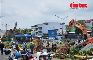TP Hồ Chí Minh: Đốn hạ nhiều cây xanh phục vụ thi công nhà ga ngầm tuyến metro số 2
