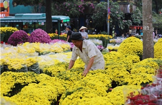TP Hồ Chí Minh: Các chợ hoa tấp nập người mua sáng 29 Tết