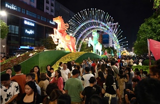 TP Hồ Chí Minh: Khách tham quan chen chân ở Đường hoa Nguyễn Huệ sau khai mạc