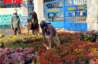 Chợ hoa Tết Nha Trang trầm lắng trong chiều 29 Tết