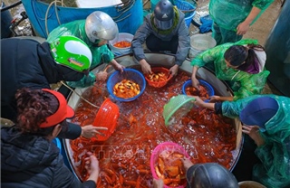 Chợ cá Yên Sở nhộn nhịp dịp ông Công, ông Táo