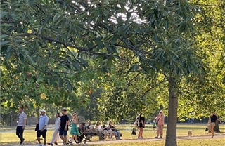 Người dân London đổ tới các công viên tránh nóng 