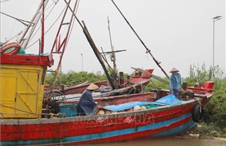 Ninh Bình: Khẩn trương triển khai các biện pháp phòng, chống bão số 3 