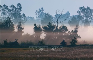 Vẻ đẹp thơ mộng miền quê Cần Thơ trong sương sớm 