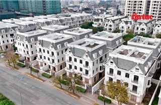 TP Hồ Chí Minh: Nhà phố, biệt thự tiền tỷ để hoang tàn nhiều năm ở Cát Lái