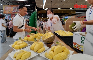 Buffet sầu riêng thưởng thức không giới hạn hút khách tại TP Hồ Chí Minh