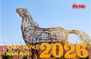 TP Hồ Chí Minh: Ngựa khổng lồ cao 8 mét xuất hiện trên khu ‘đất vàng’ đường Trần Phú