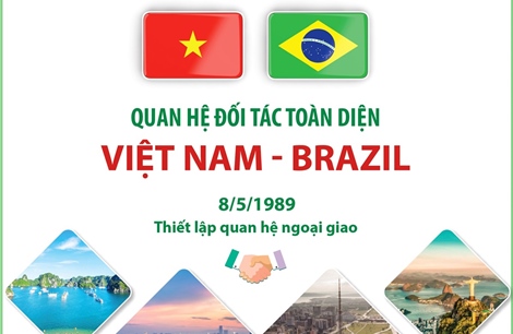 Quan hệ Đối tác toàn diện Việt Nam - Brazil