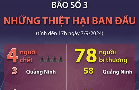 Bão số 3: Bốn người chết, 78 người bị thương (tính đến 17h ngày 7/9)