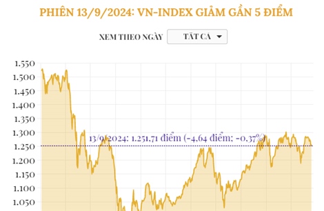 Phiên 13/9/2024: VN-Index giảm gần 5 điểm