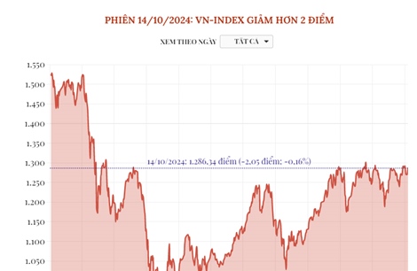 Phiên 14/10/2024: VN-Index giảm hơn 2 điểm