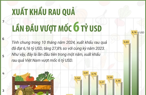 Xuất khẩu rau quả lần đầu vượt mốc 6 tỷ USD