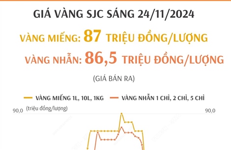 Sáng 24/11, vàng SJC tiếp tục tăng