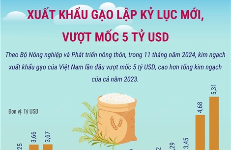 Xuất khẩu gạo lập kỷ lục mới, vượt mốc 5 tỷ USD