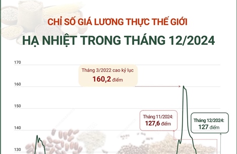 Chỉ số giá lương thực thế giới hạ nhiệt trong tháng 12/2024