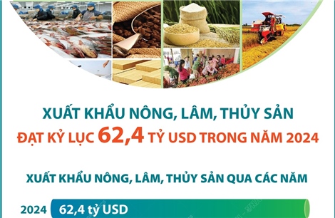 Xuất khẩu nông, lâm, thủy sản đạt kỷ lục 62,4 tỷ USD trong năm 2024