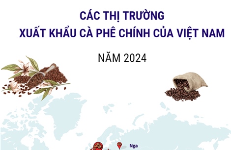 Thị trường xuất khẩu cà phê chính của Việt Nam năm 2024