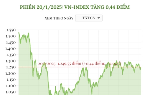 Phiên 20/1/2025: VN-Index tăng 0,44 điểm