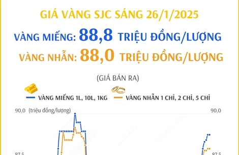 Vàng miếng 88,8 triệu đồng/lượng, vàng nhẫn 80 triệu đồng/lượng