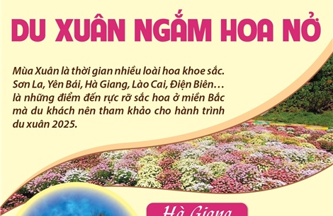 Du xuân ngắm hoa nở