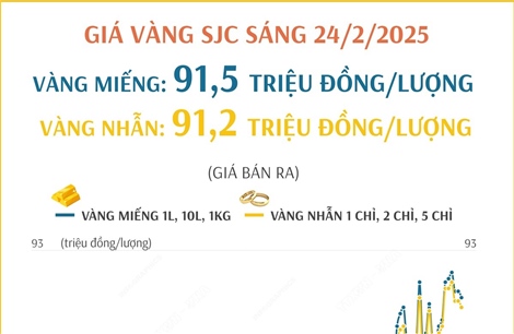 Giá vàng SJC sáng 24/2/2025: Vàng nhẫn ở mức 91,2 triệu đồng/lượng