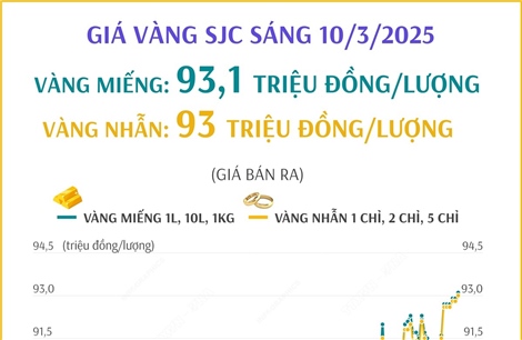 Giá vàng SJC sáng 10/3/2025 tiếp tục tăng, lên mốc 93 triệu đồng/lượng