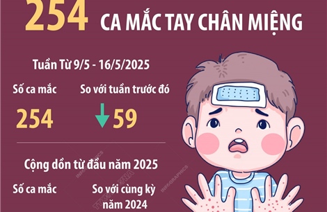 Hà Nội: 254 ca mắc tay chân miệng (từ 9/5 - 16/5/2025)