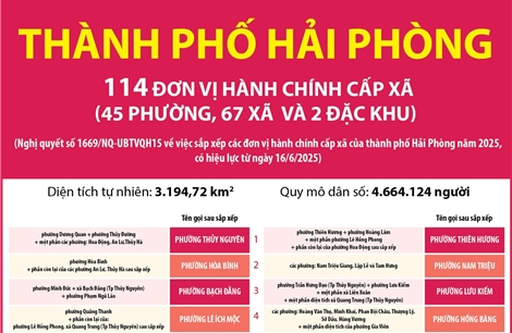 Thông tin chi tiết sắp xếp các đơn vị hành chính cấp xã của thành phố Hải Phòng