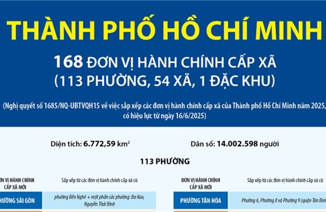 Thông tin chi tiết về 113 phường của Thành phố Hồ Chí Minh
