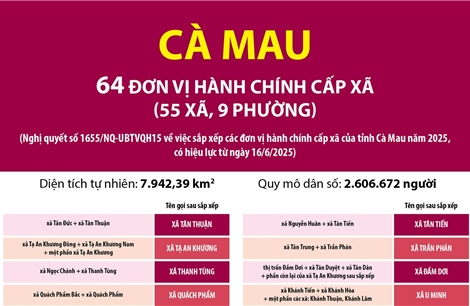 Thông tin chi tiết sắp xếp các đơn vị hành chính cấp xã của tỉnh Cà Mau