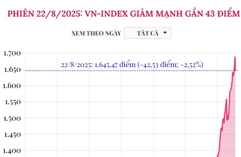 Phiên 22/8/2025: VN-Index giảm mạnh gần 43 điểm