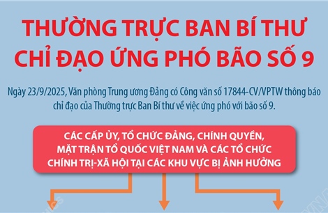Thường trực Ban Bí thư chỉ đạo ứng phó bão số 9