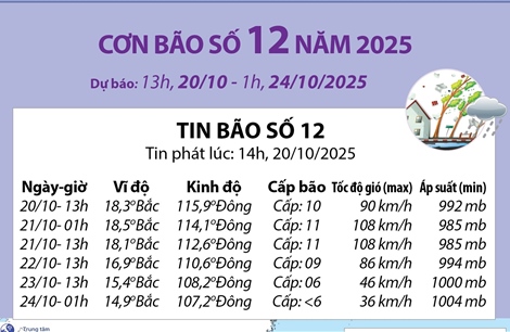 Đường đi của bão số 12 năm 2025 (dự báo từ 13h ngày 20/10 đến 1h ngày 24/10)
