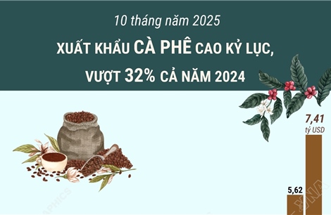 10 tháng năm 2025: Xuất khẩu cà phê cao kỷ lục, vượt 32% cả năm 2024