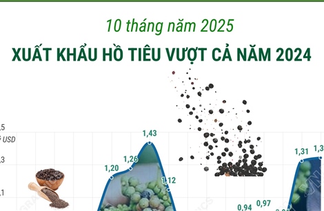 10 tháng/2025: Xuất khẩu hồ tiêu vượt cả năm 2024